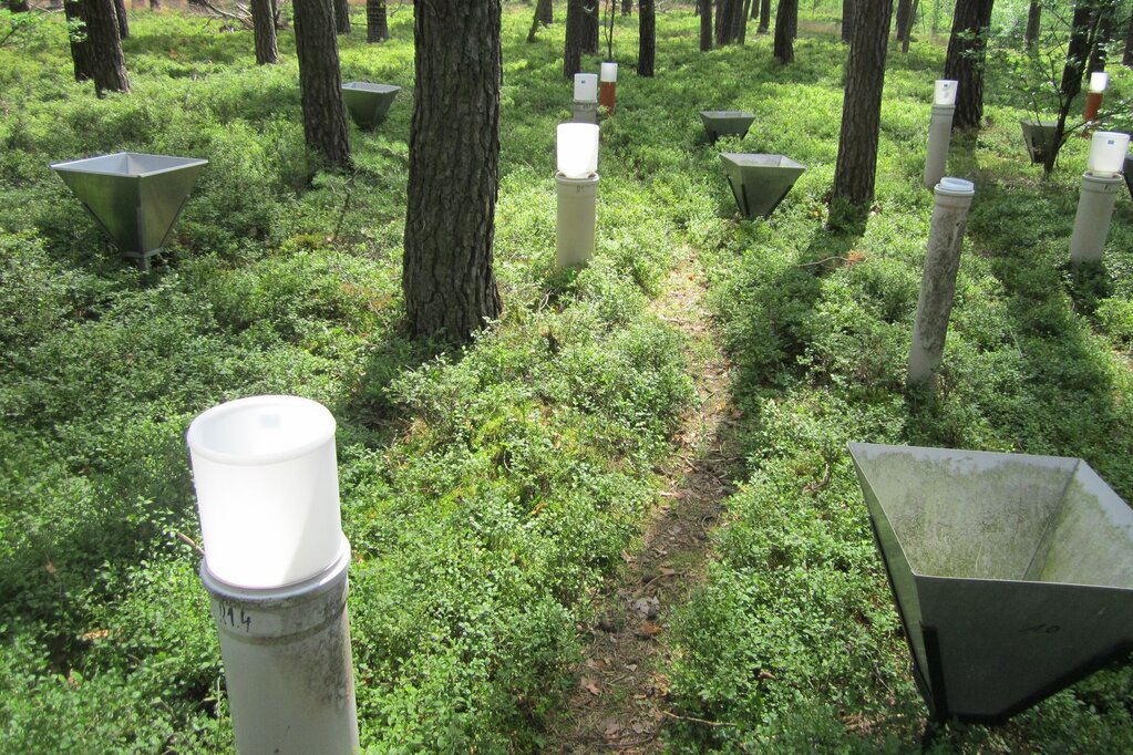 Depositionsmesser auf einer Versuchsfläche der Intensivmonitoringfläche Britz. Depositionsmesser auf einer Versuchsfläche der Intensivmonitoringfläche Britz