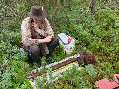 Im Moor kniende Person, die vor sich einen Stechbohrer mit Bodenprofil liegen hat. 