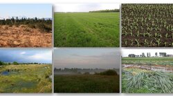 Implementation of the German peatland monitoring program for climate protection