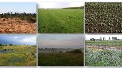 Aufbau eines deutschlandweiten Moorbodenmonitorings für den Klimaschutz - Offenland
