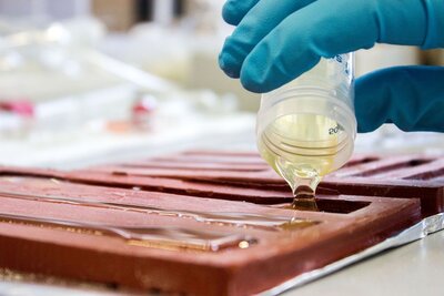 Biobasiertes Polymer wird in eine Form gegossen