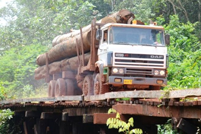 A timber truck fully loaded with logs drives over a very simple wooden bridge in a forest.
