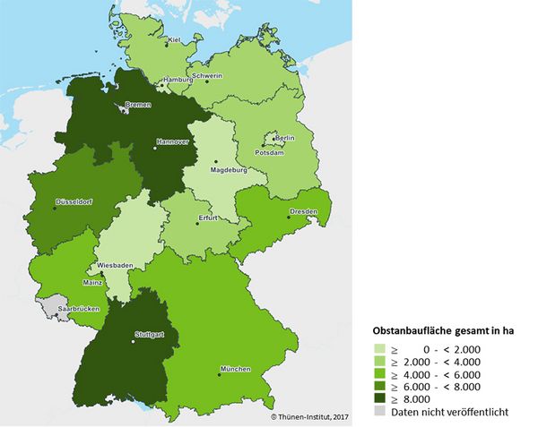 Obstanbaufläche in den Bundesländern Deutschlands