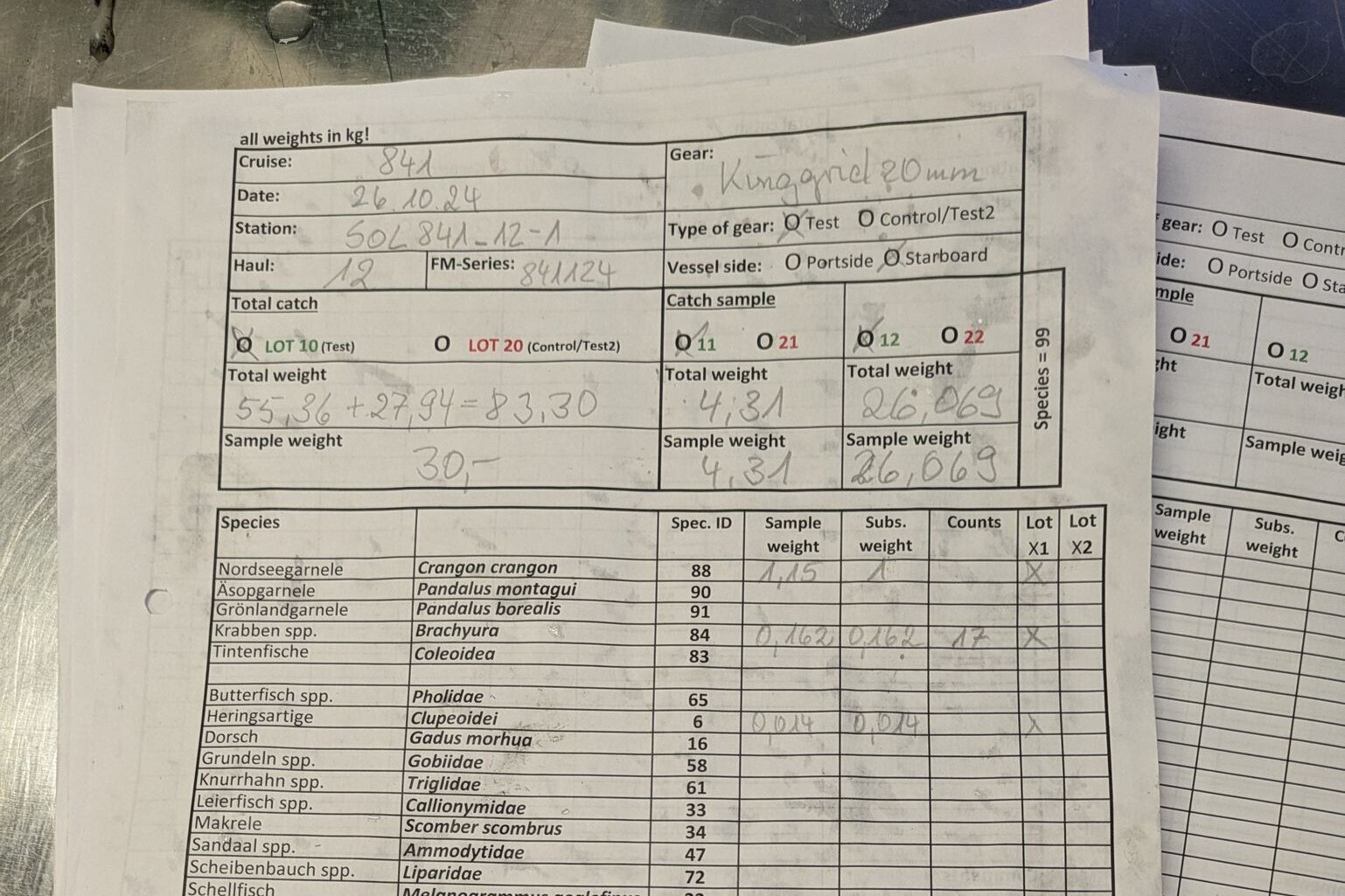 Messprotokoll Ein in Spalten und Zeilen eingeteiltes Blatt mit vielen in Bleistift geschriebenen Zahlen