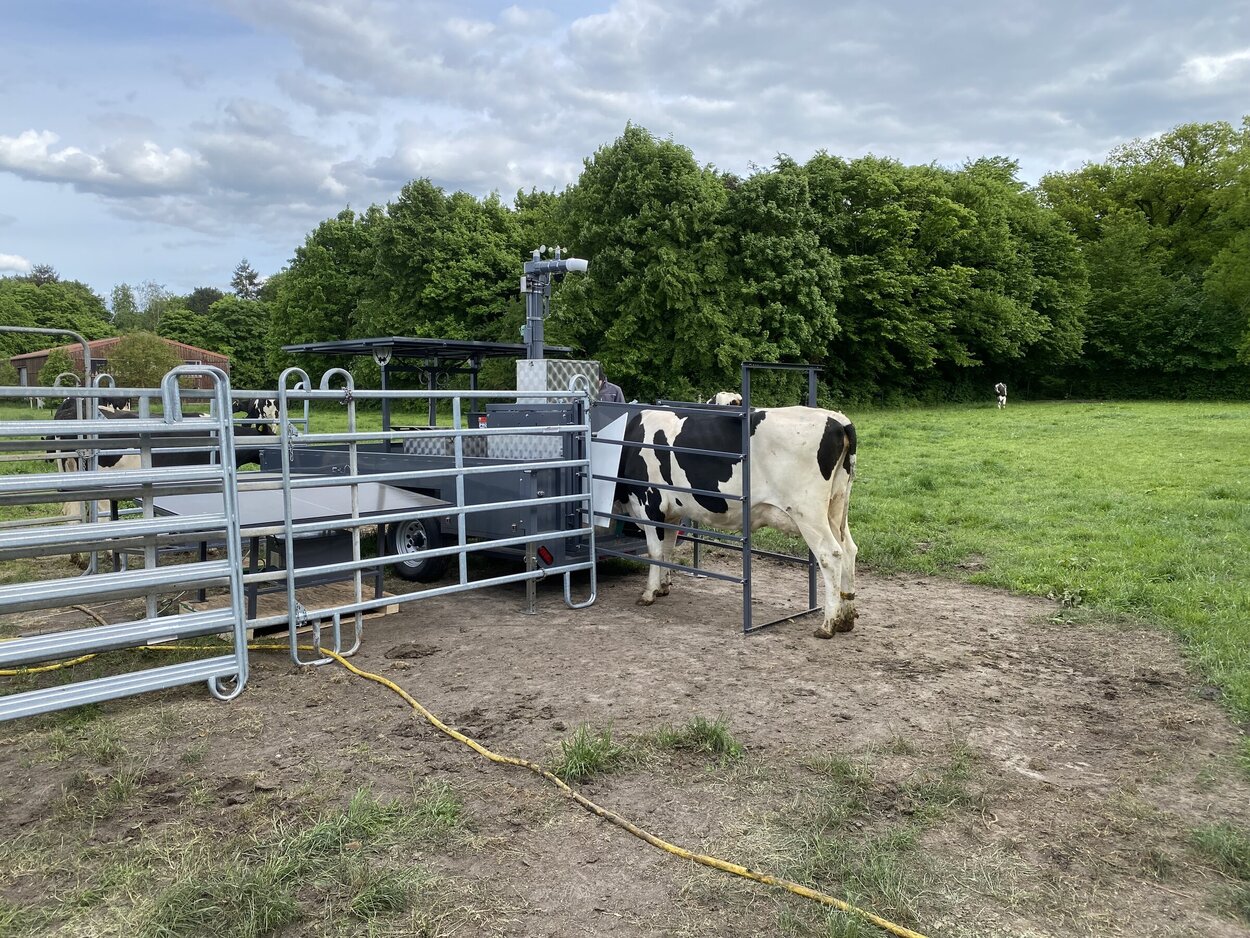 Combined facility for feeding cattle and measuring methane emissions. 