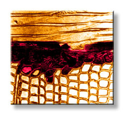 Alternative, formaldehyd-free binders for wood based composite materials