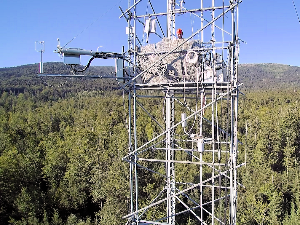 TRANC on a measurement tower in a forest The photo shows an instrumented measurement tower protruding from a coniferous forest.
