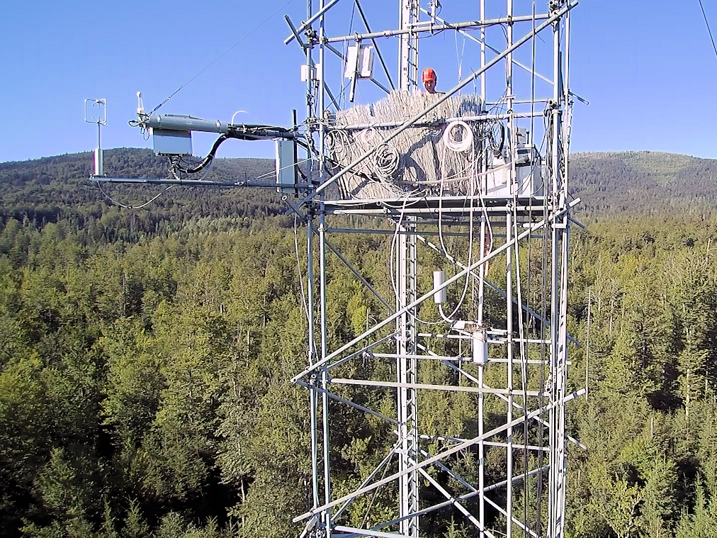 The photo shows an instrumented measurement tower protruding from a coniferous forest.