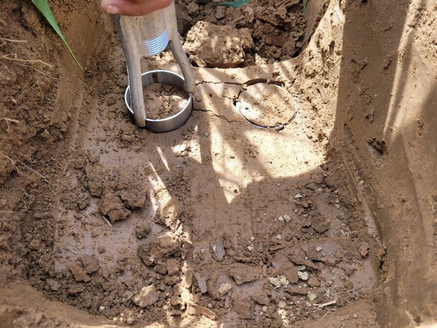 Man sieht Stechzylinder in einer ausgehobenen Grube.