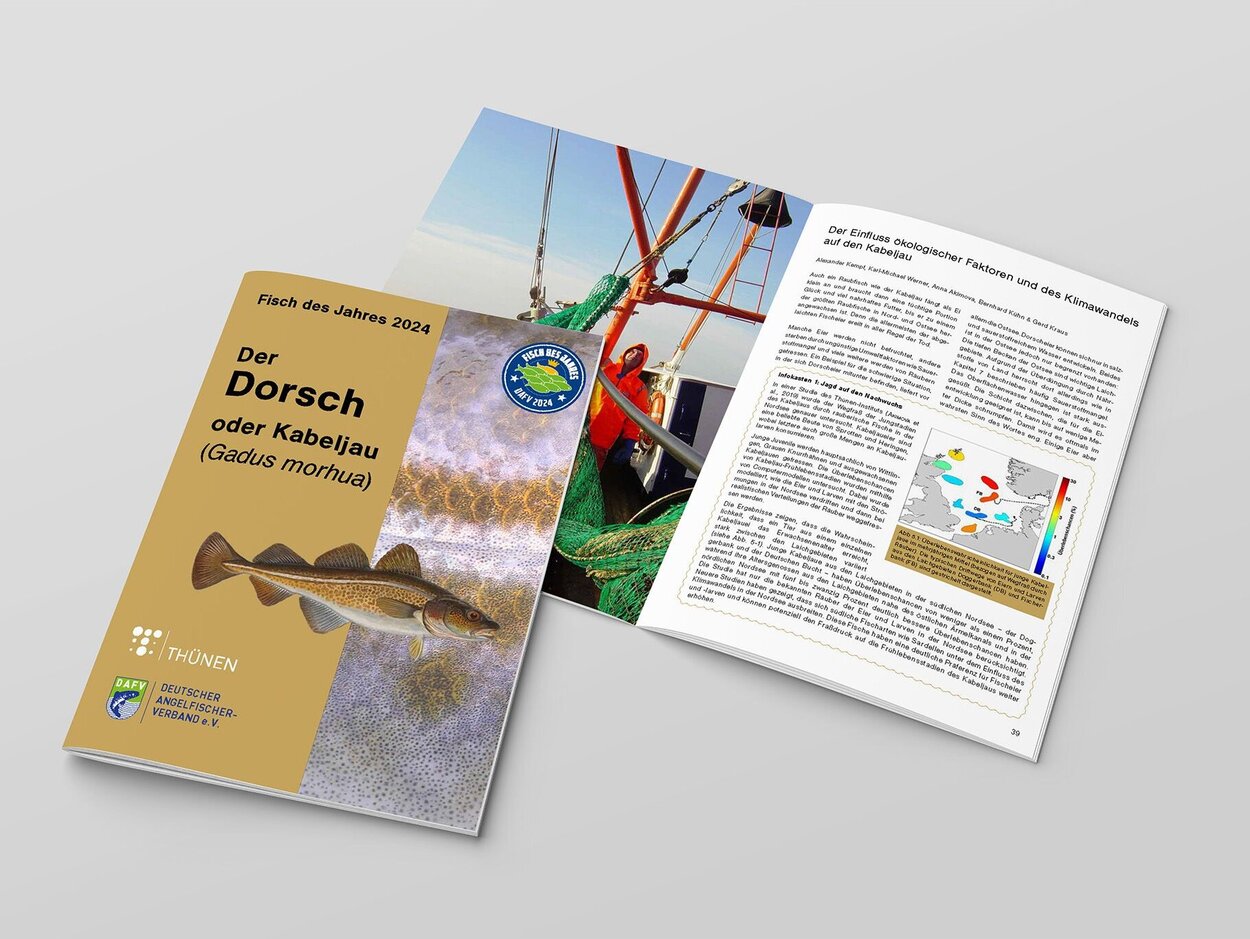 Abbildung der Broschüre, die am Ende der Seite herunterladbar ist.