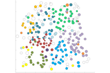 Eine Karte eines Buchenwaldes, in der die Mitglieder verschiedener Familien in unterschiedlichen Farben dargestellt sind