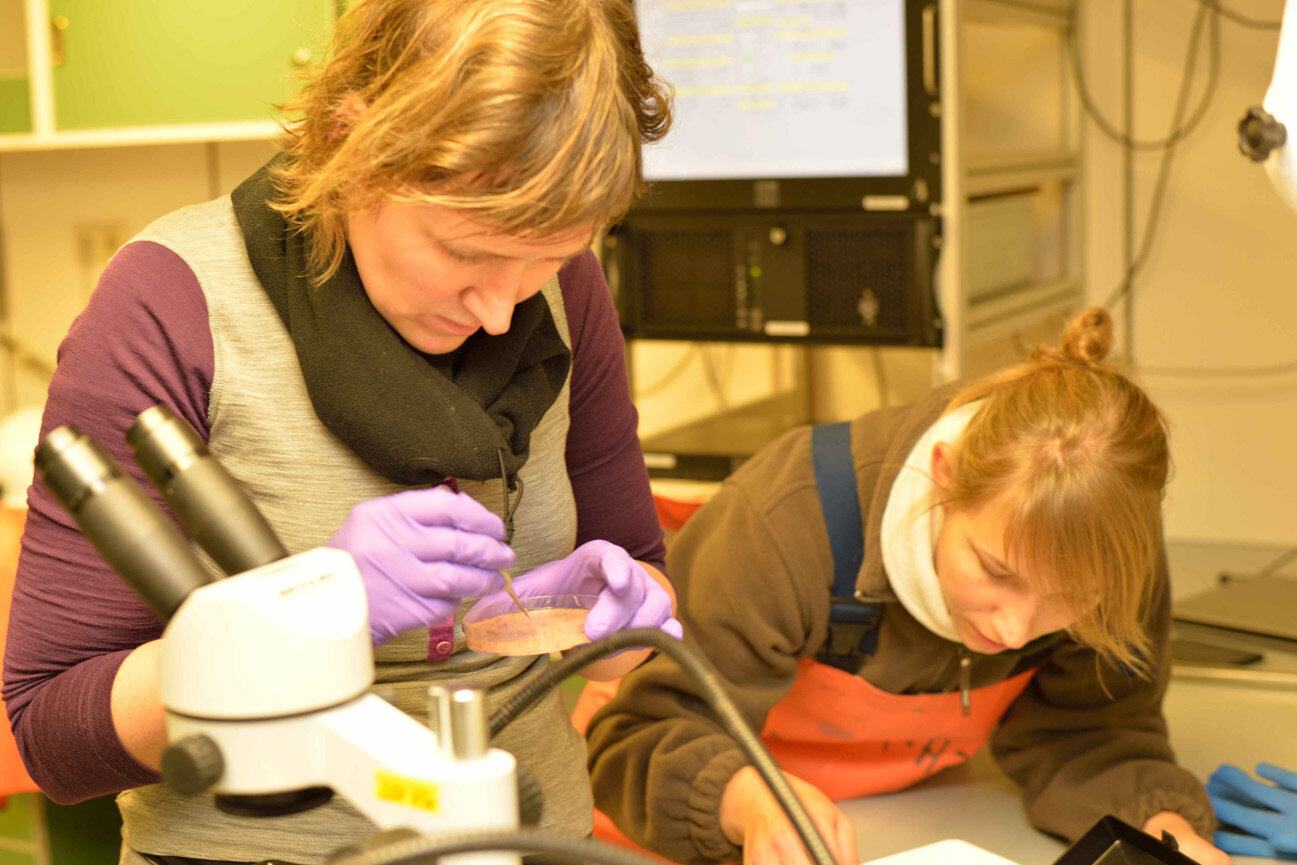 Die Studentinnen Angela und Nicole sortieren die Planktonproben.