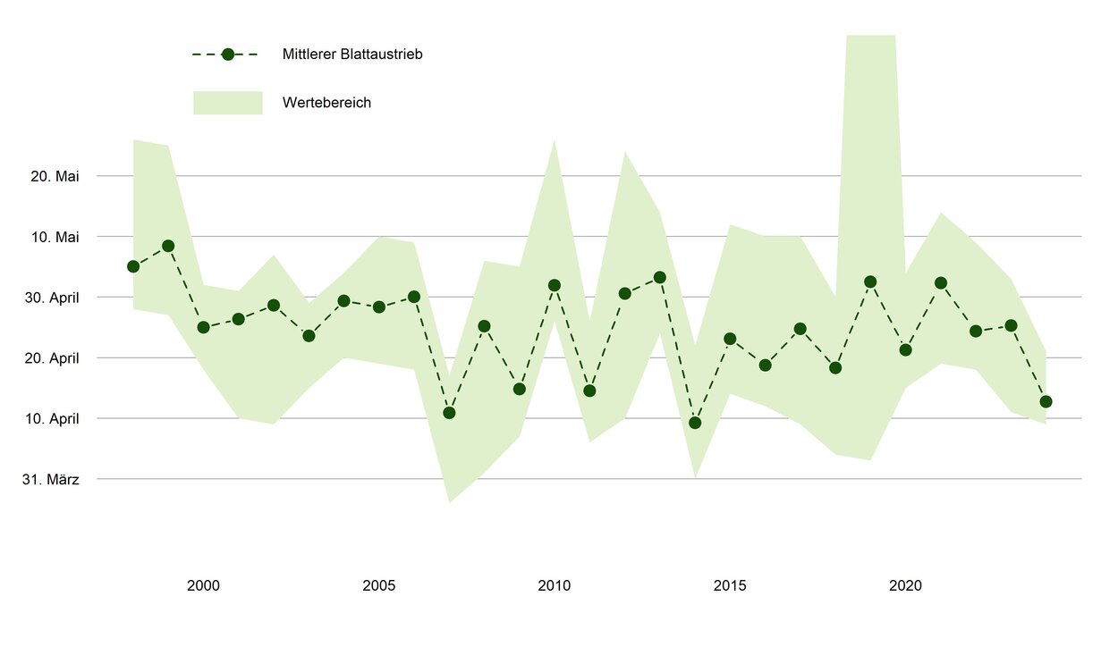 Eine Grafik über den Zeitpunkt des Blattaustriebes der letzten 20 Jahre.