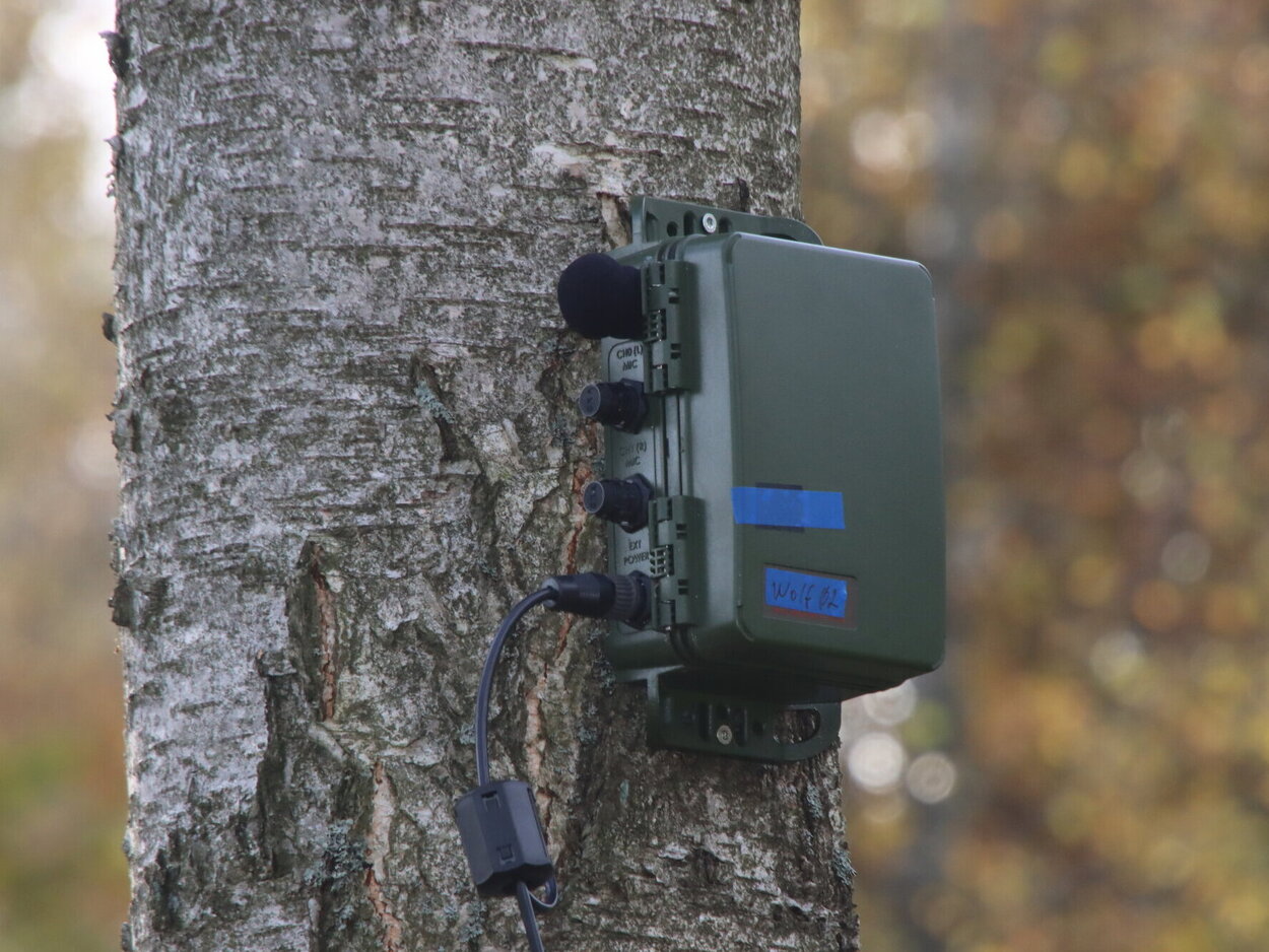Akustisches Aufnahmegerät Aufnahmegerät hängt an einem Baumstamm