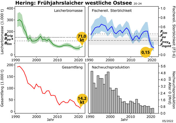 Grafik der Laicherbiomasse, Gesamtfang und andere Parameter des Herings der westlichen Ostsee