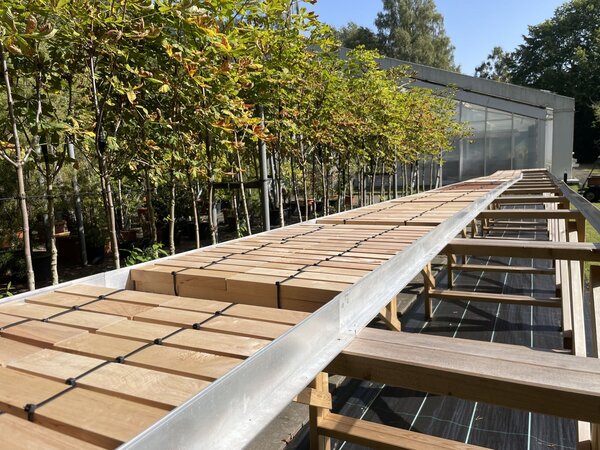 Prüfung der biologischen Dauerhaftigkeit von Holz ohne Bodenkontakt nach der Bündel-Methode Prüfung der biologischen Dauerhaftigkeit von Holz ohne Bodenkontakt nach der Bündel-Methode