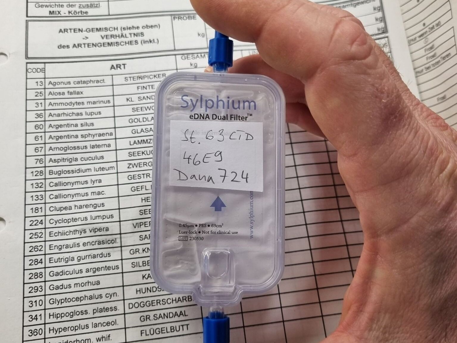 Die fertige Probe ist bereit für die weitere Analyse im Labor.