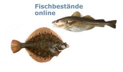 Fischbestände Online: Nachhaltiger Fischeinkauf - aber wie?
