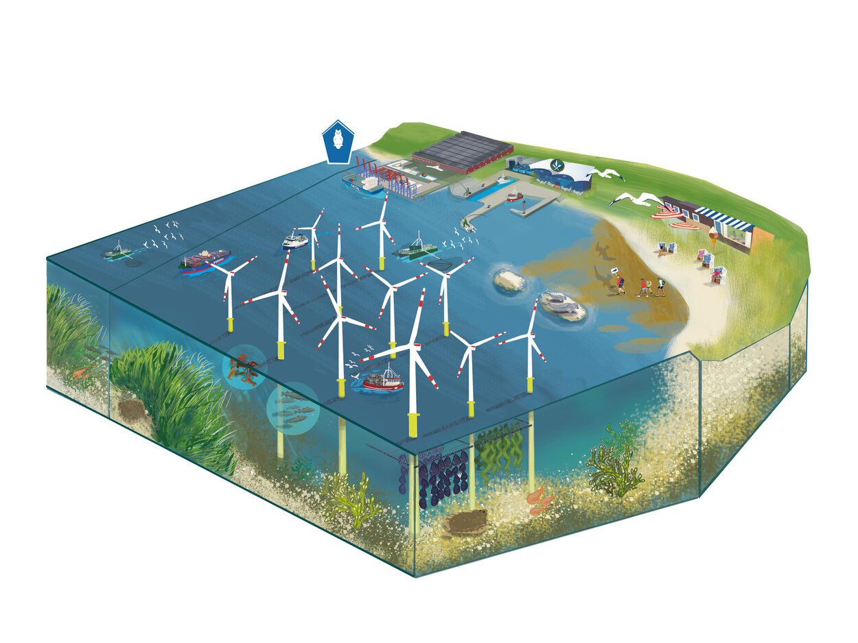Grafik eines Küstenökosystems