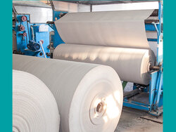 Zellstoff- und Papierbilanzen