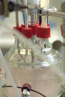 Katalyse in Bioraffinerien