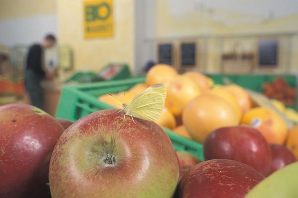 Obst im Bio-Supermarkt.