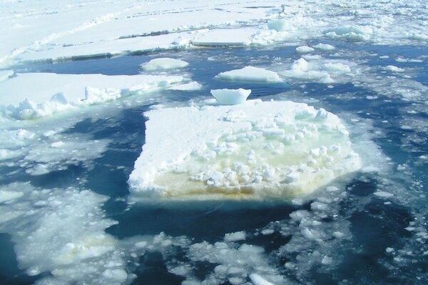 Floating ice sheets in the Weddell Sea (Antarctica)