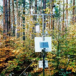 Kontinuierlich messende Wetterstation zur Erfassung des Waldinnenklimas in einem Kiefern-Buchen-Mischbestand