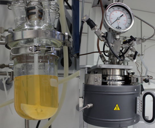 Glas- und Edelstahlreaktor (500 und 2,000 mL)