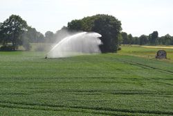 Bewässerungsbedarf der Landwirtschaft in Hessen