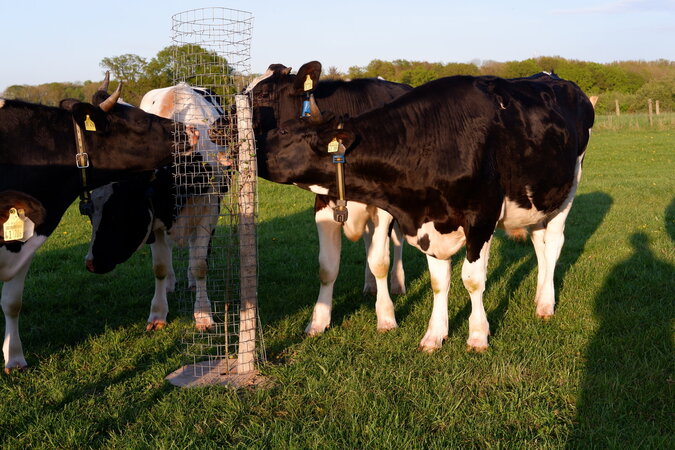 Klicken für eine Vergrösserung