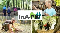 Institutional economic analysis - (small-scale) private forest