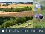 Eine Kollage verschiedener Bilder über Biodiversiät, eine Felderlandschaft, eine Schafweide, ein Schmetterling, eine Hummel und eine Blumenwiese.