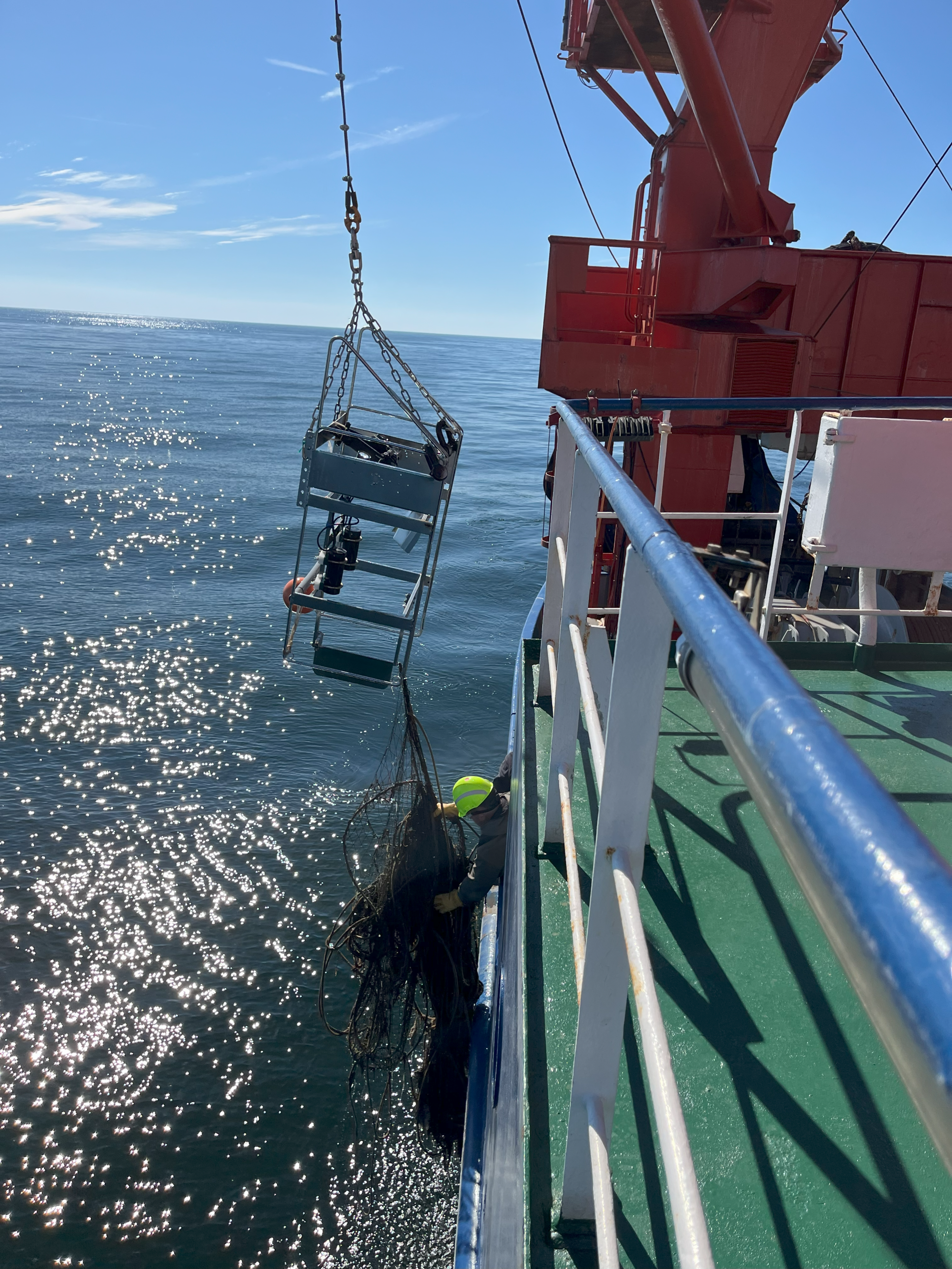 The video sled is hoisted on board.