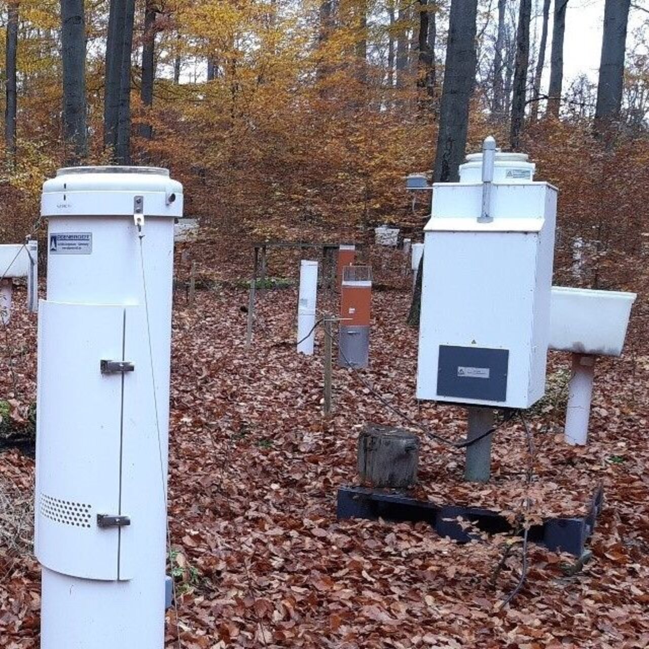 Heated and air-conditioned bulk collector (center) and heated and air-conditioned wet-only collector (right) on the beech area in the Göttingen forest (Image: Nils König, NW-FVA)