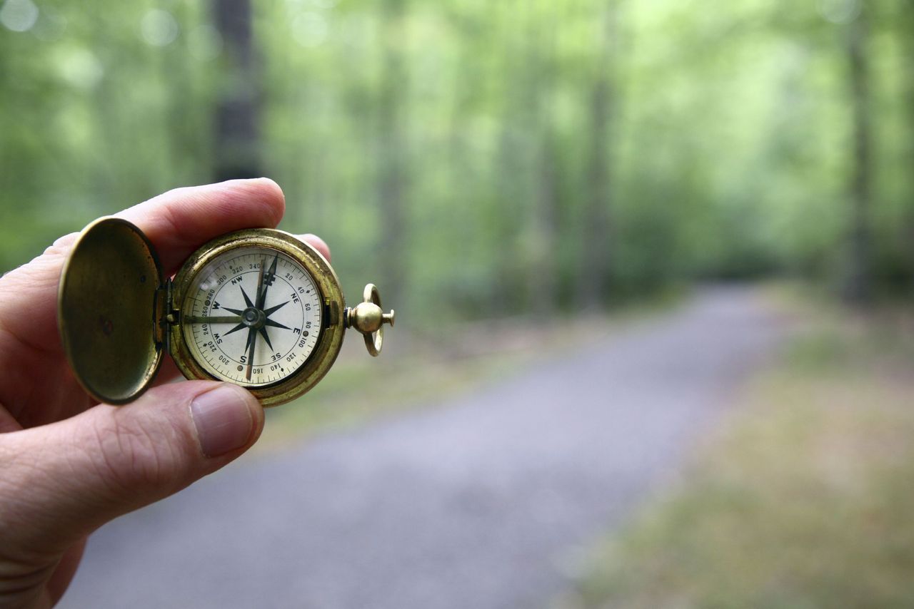 Compass On Woods Path