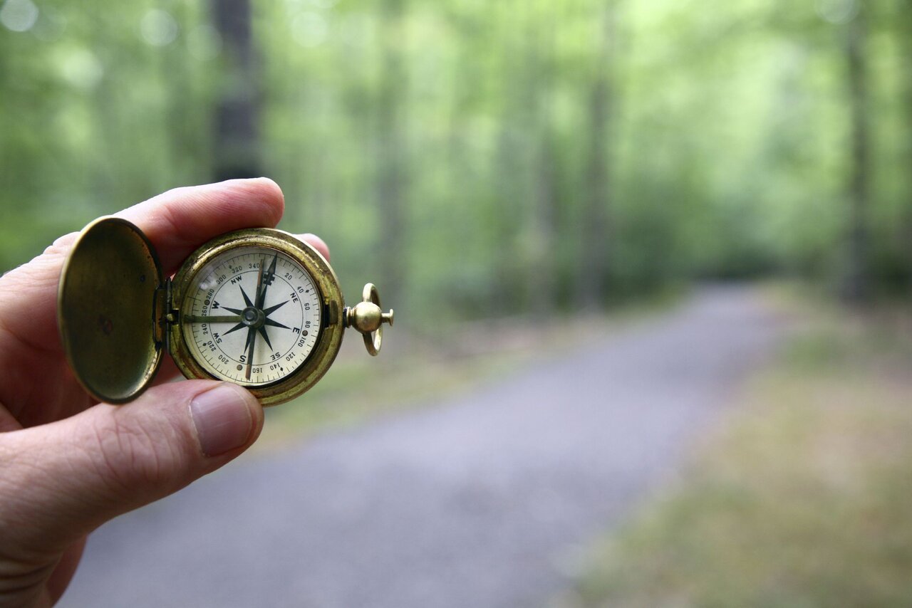 Compass On Woods Path