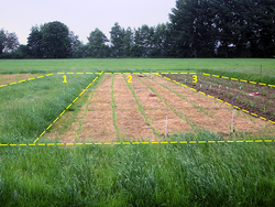 Grassland conversion to arable land and greenhouse gas emissions