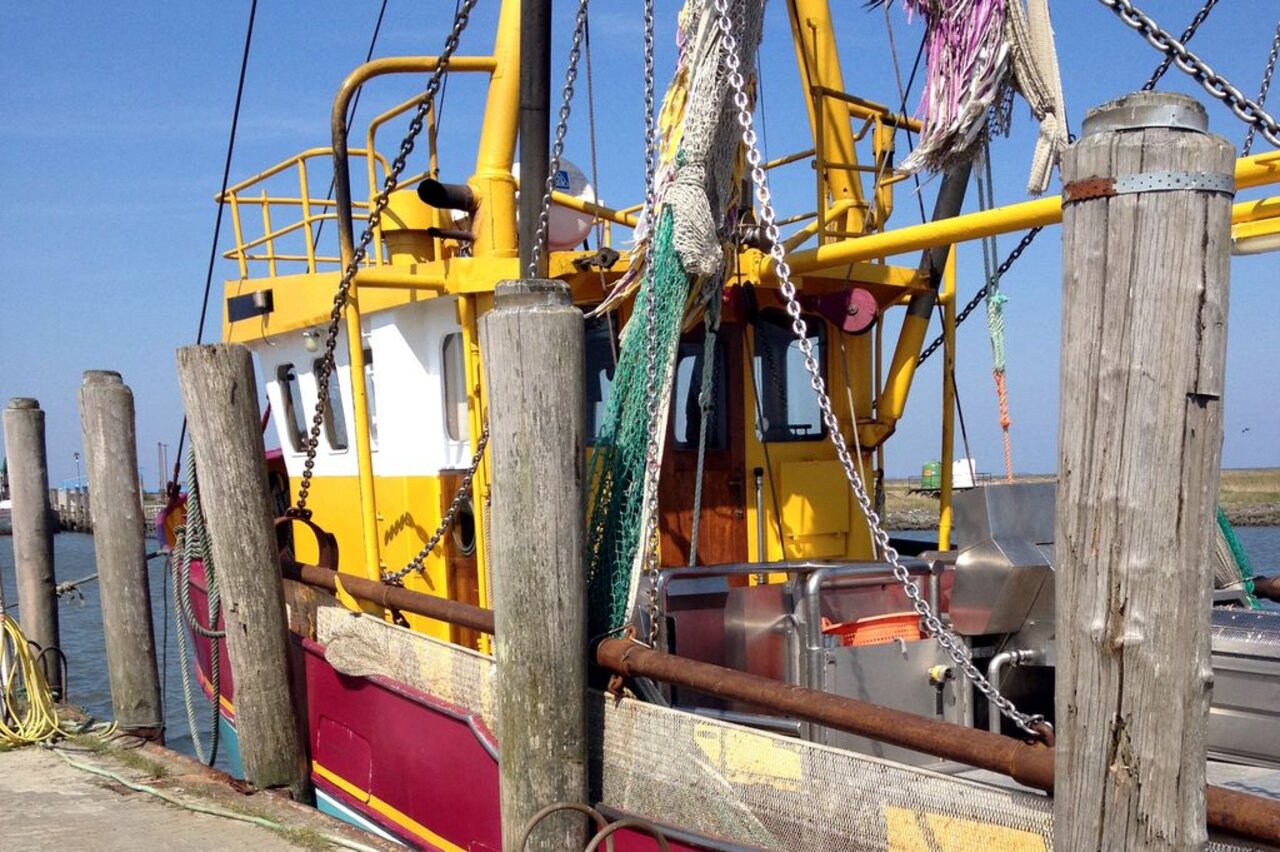 Crangon vessel Hallig Hooge