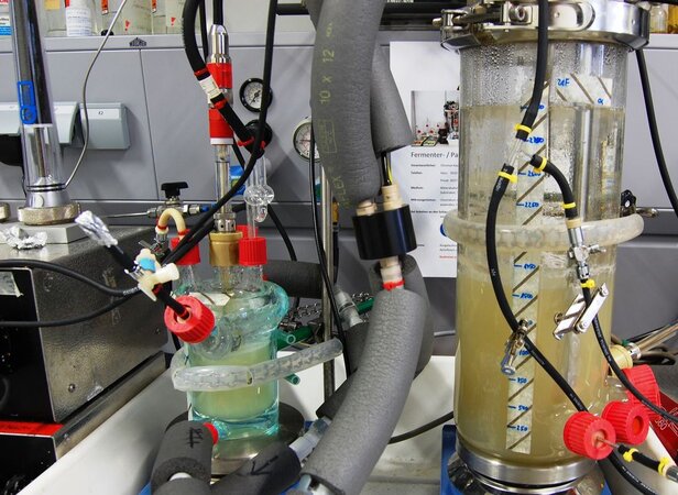 Klicken für eine Vergrösserung Kleinfermenter 50mL-1 L