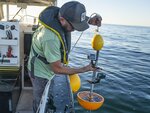 Dr. Matthias Schaber is retrieving an underwater video-system. This, together with other so-called BRUVs (Baited Remote Underwater Video), is a methodical expansion of the project to investigate tope sharks around Helgoland that is intended to be deployed regularly from next year on. 