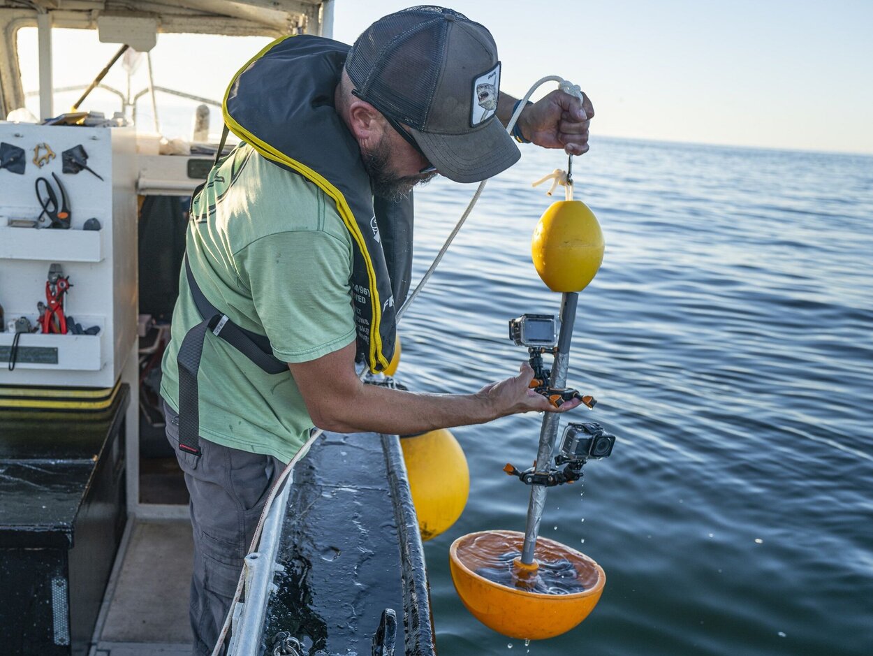 Dr. Matthias Schaber is retrieving an underwater video-system. This, together with other so-called BRUVs (Baited Remote Underwater Video), is a methodical expansion of the project to investigate tope sharks around Helgoland that is intended to be deployed regularly from next year on. 