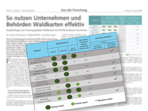 eine Tabelle und abgesoftet im Hintergrund, somit nicht lesbar, der Artikel aus dem Holz Zentralblatt