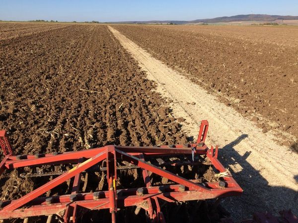 plow-less tillage after maize harvest for wheat order