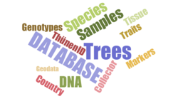 Development of scientific databases