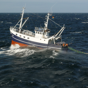 Kommerzielles Fischereifahrzeug