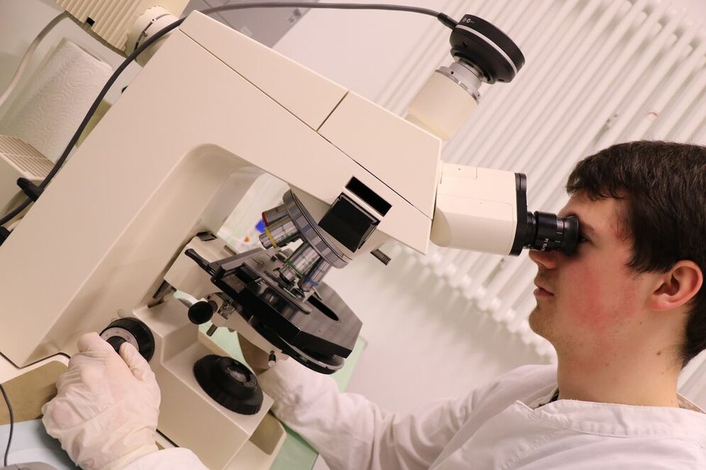 Mikrobiologie Mikroskop Mikrobiologie Mikroskop