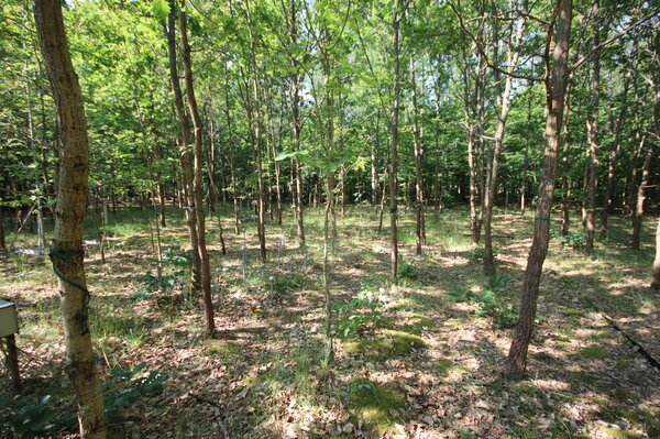 Messfeld zur Messung des Bodenswaasers auf der Intensivmonitoringfläche Britz.