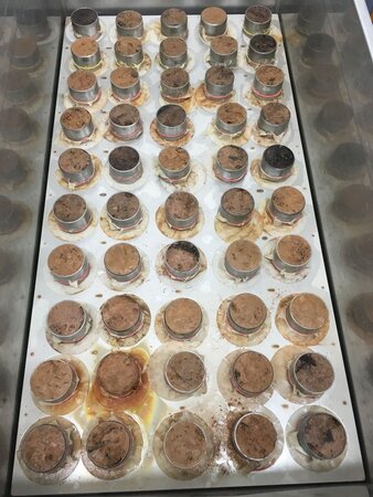 KF tub equipped with samples