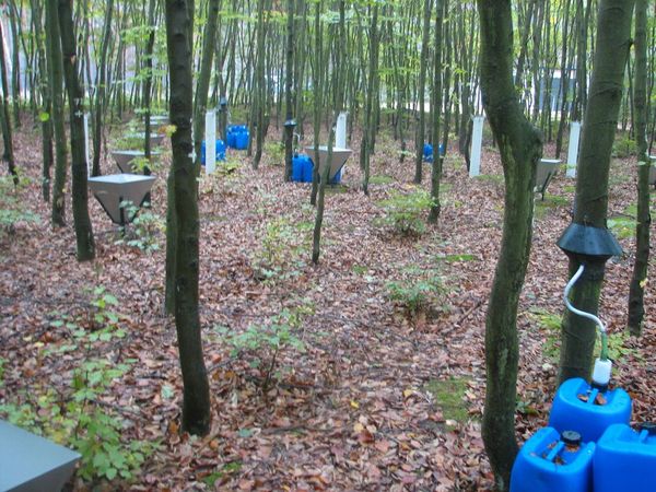 Measuring field with precipitation sampler, litter fall sampler and a measuring system for stemflow in a pure beech stand